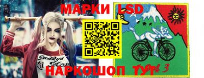 шишки Донской