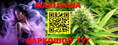 гашик Донецк