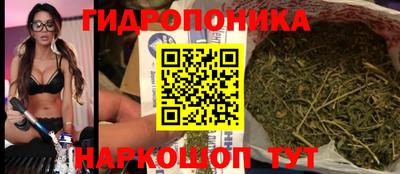 шишки Донской