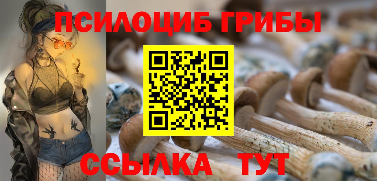 Мыски  Галлюциногенные грибы Cubensis  Галлюциногенные грибы Psilocybine cubensis  Вход с VPN 